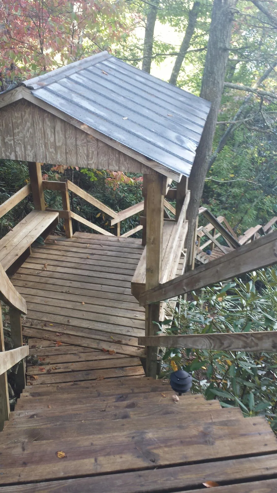 Metal roofed shelter over wooden steps on a wooded walkway — Skylight Repair & Installation work by our crew in Micanopy